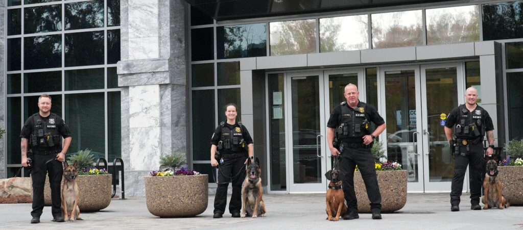 Jcpd k9s