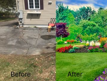 Pavement Removal 2