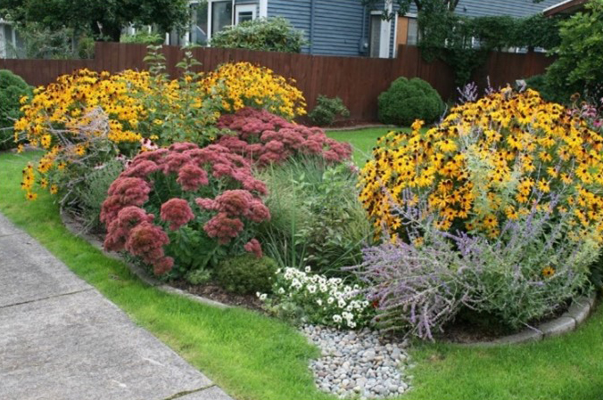 Rain Garden