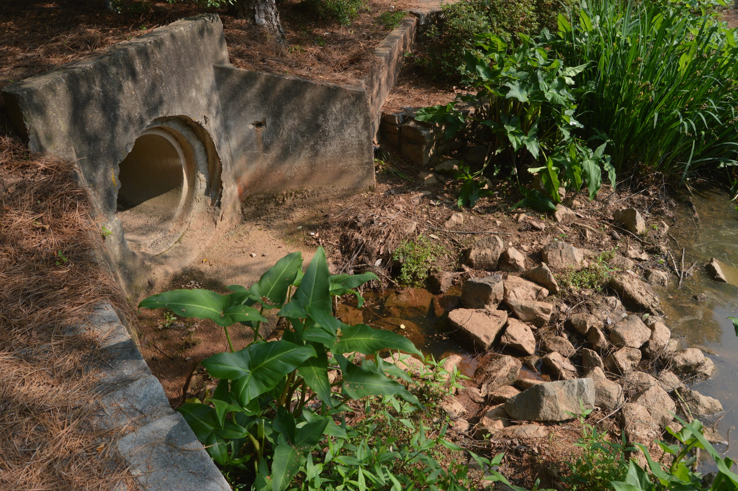 Stormwater Utility